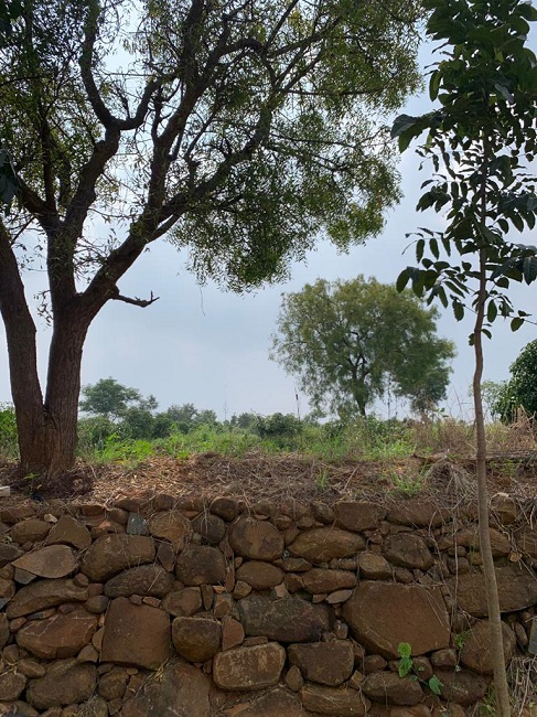 Magadi